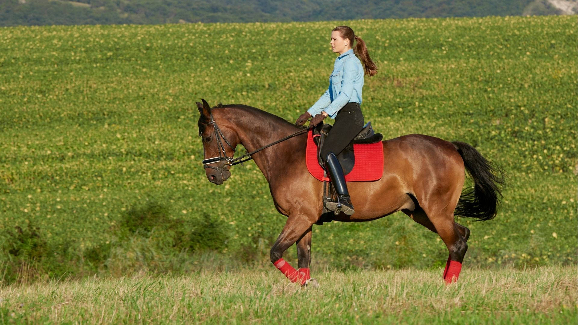 Modern Pentathlon Woman Horse Ride Wallpaper