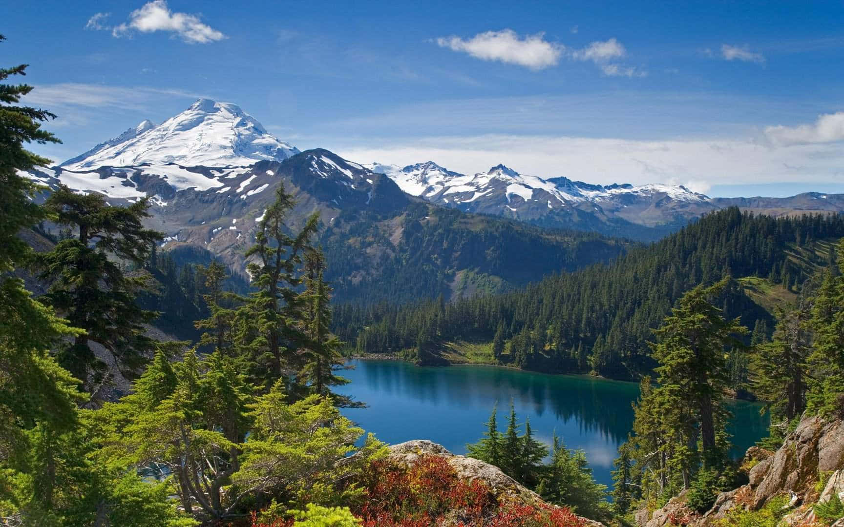 Mount Baker United Stated Mountain Landscape Wallpaper