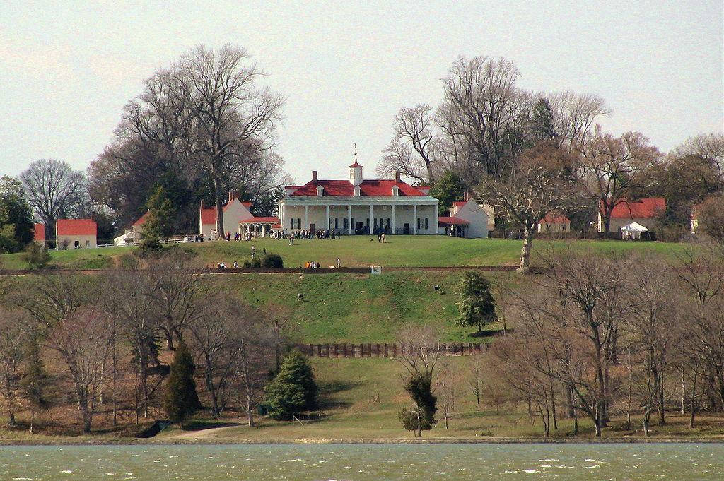 Mount Vernon Empty Trees Wallpaper