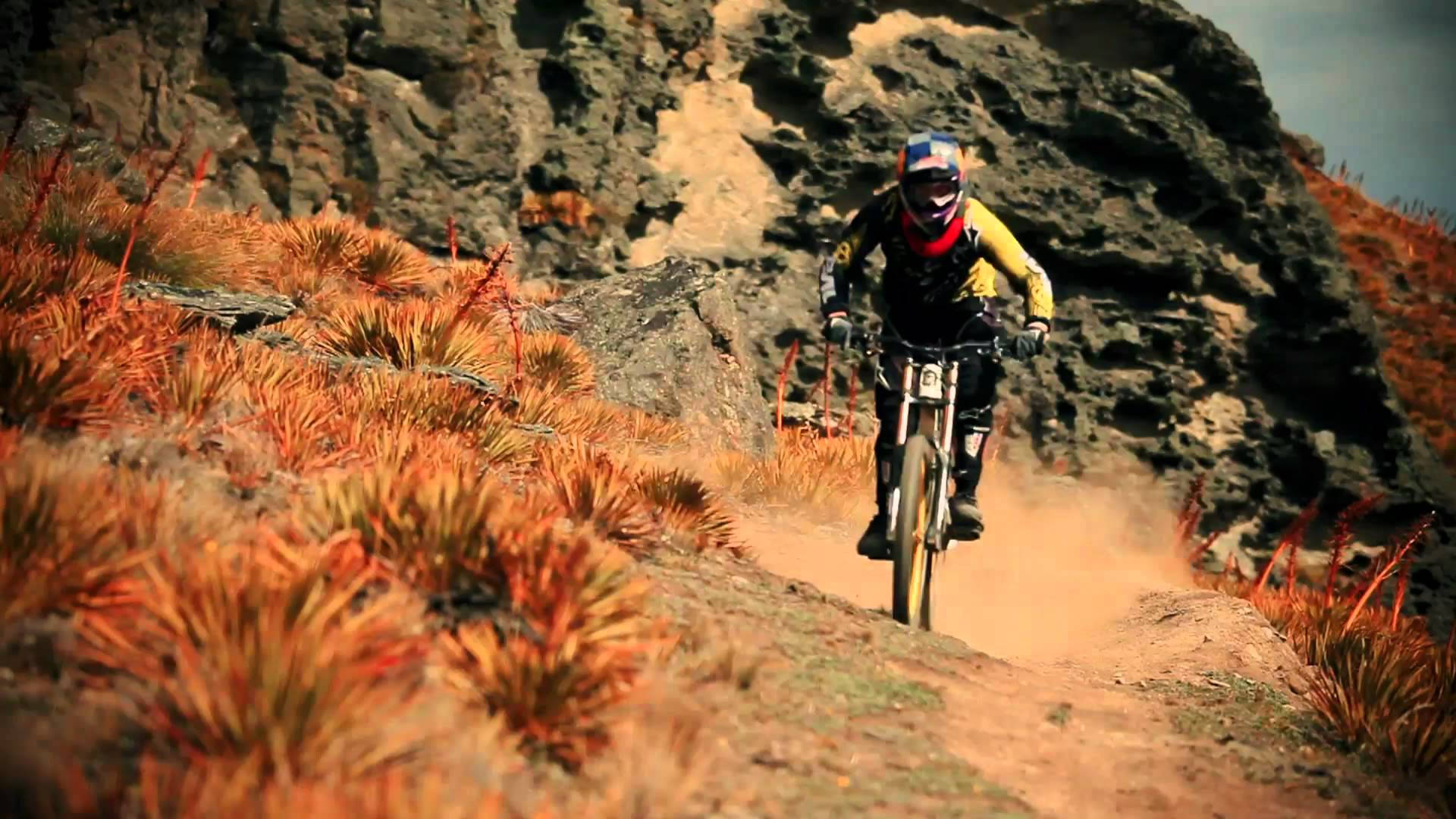 Mtb Ride In Brown Bush Mountain Wallpaper