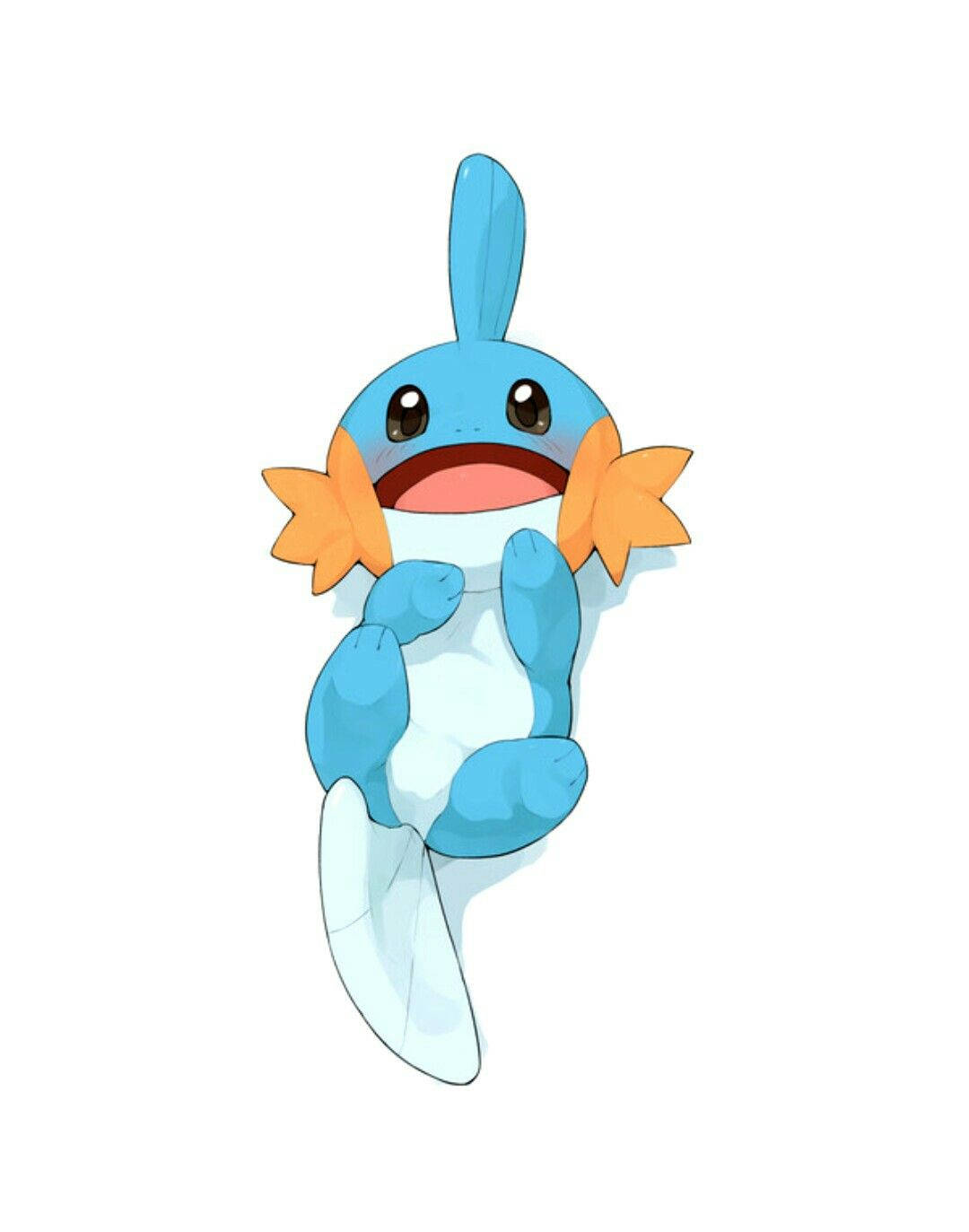 Mudkip Lying On White Background Wallpaper