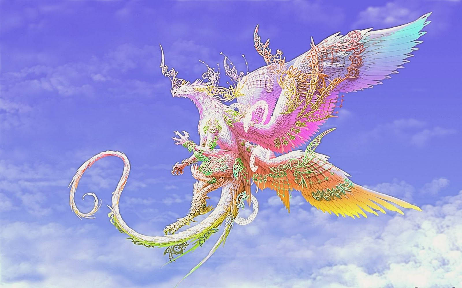 Multicolor Phoenix Sky Wallpaper