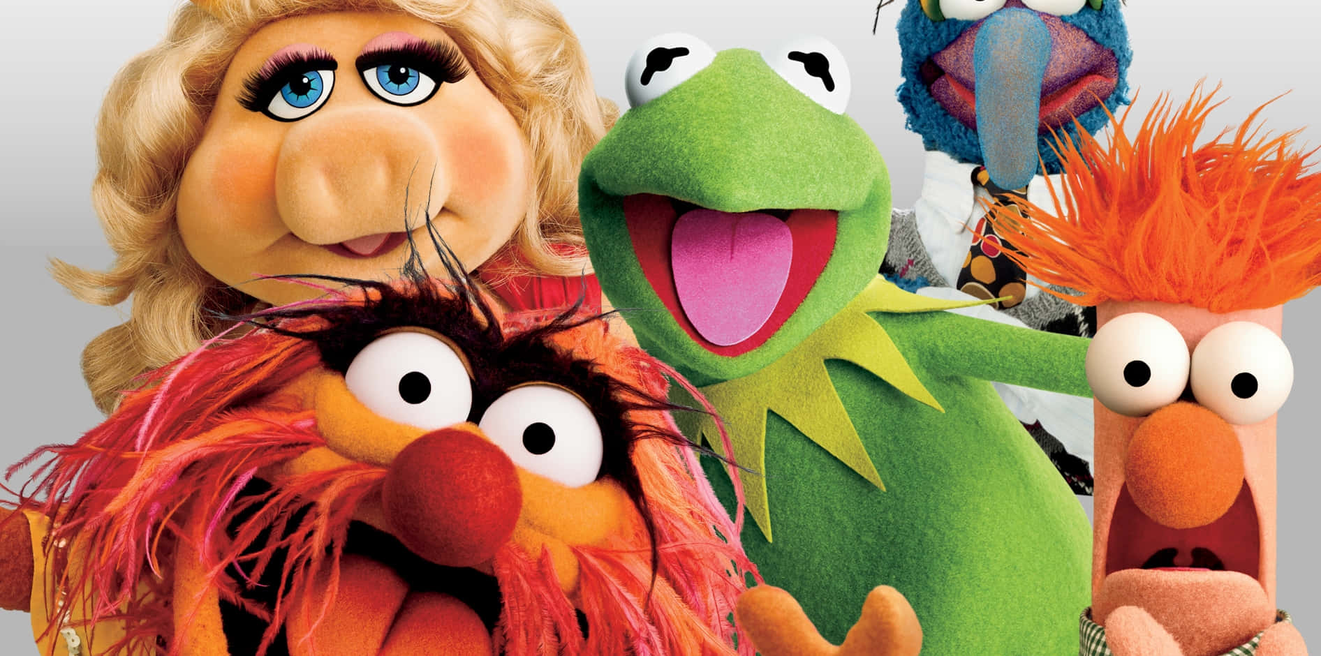 Muppets_ Group_ Closeup Wallpaper