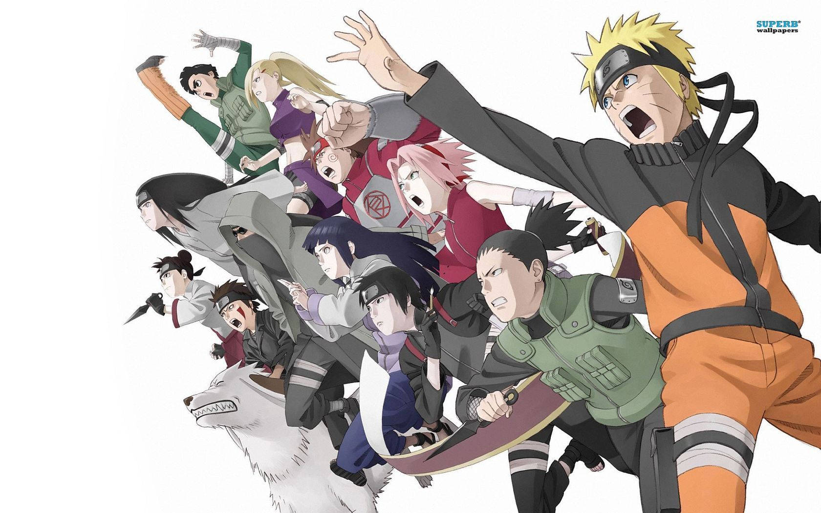 Naruto Shippuden Teen Ninjas Of Konoha Wallpaper