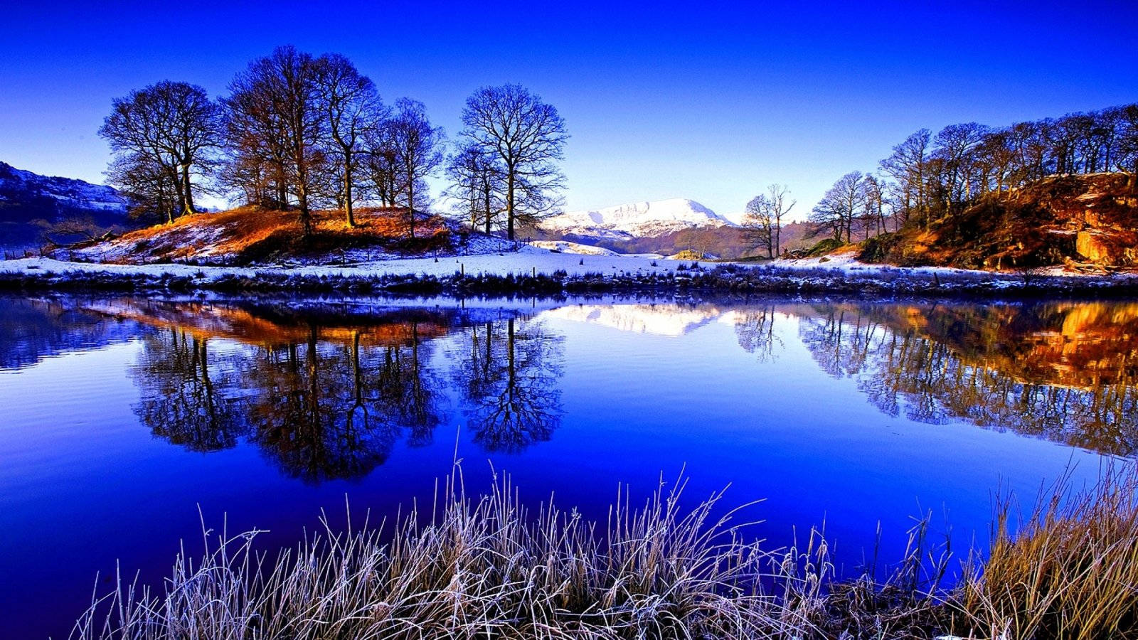 Natural Lake With Trees During Winter Wallpaper