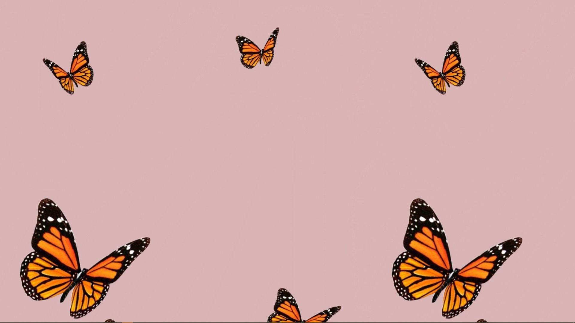 Nature Aesthetic Orange Butterfly Collage For Computer Wallpaper