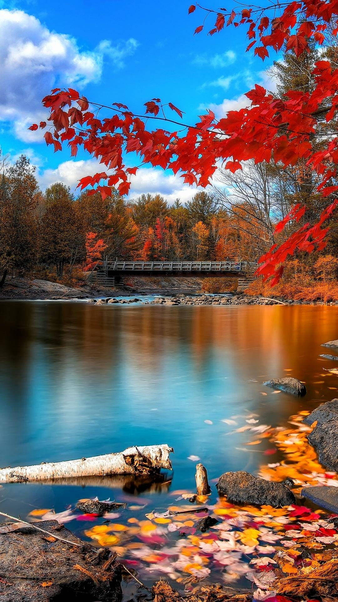 Nature Phone Bridge Autumn Wallpaper