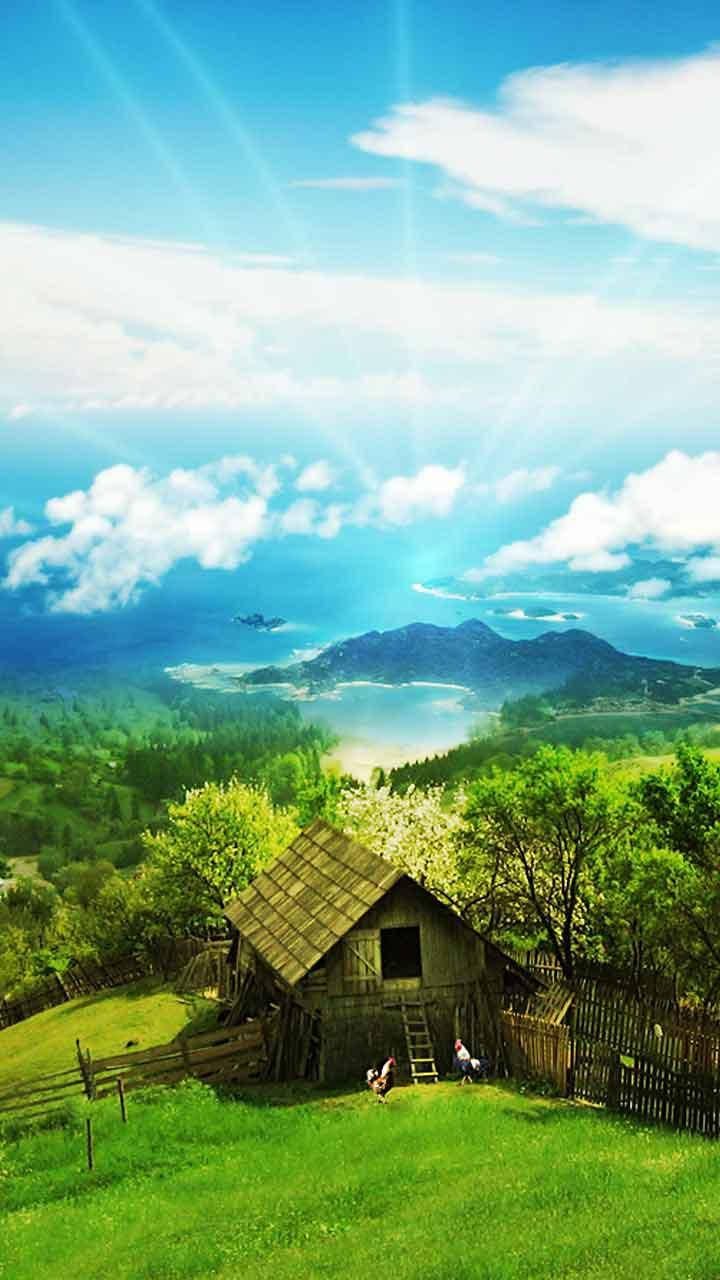 Nature Phone Wooden House Chickens Wallpaper