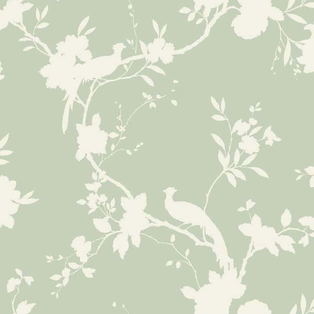 Negative Painting In A Cute Sage Green Paint Wallpaper