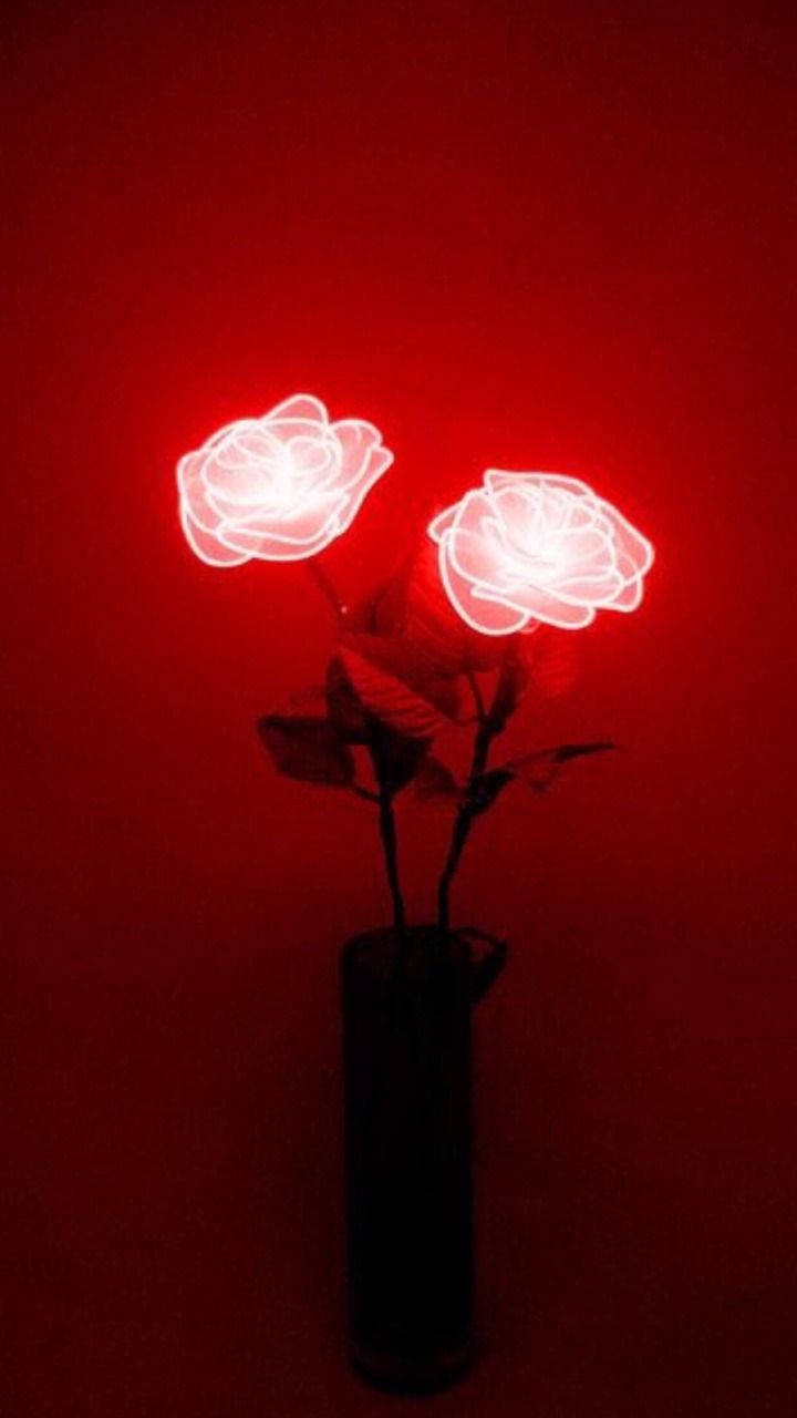 Neon Red Aesthetic Roses Wallpaper