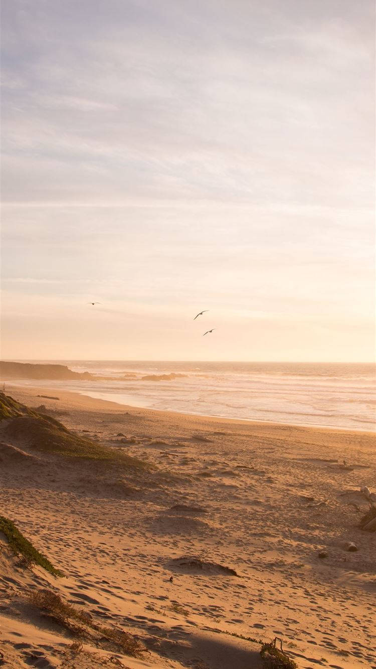 Neutral Iphone Ocean Beach Wallpaper