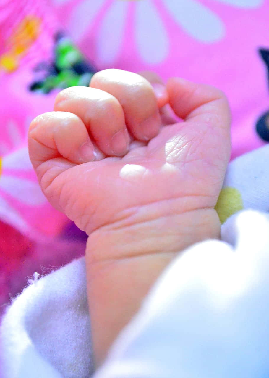 Newborn Baby Hand Grip Wallpaper