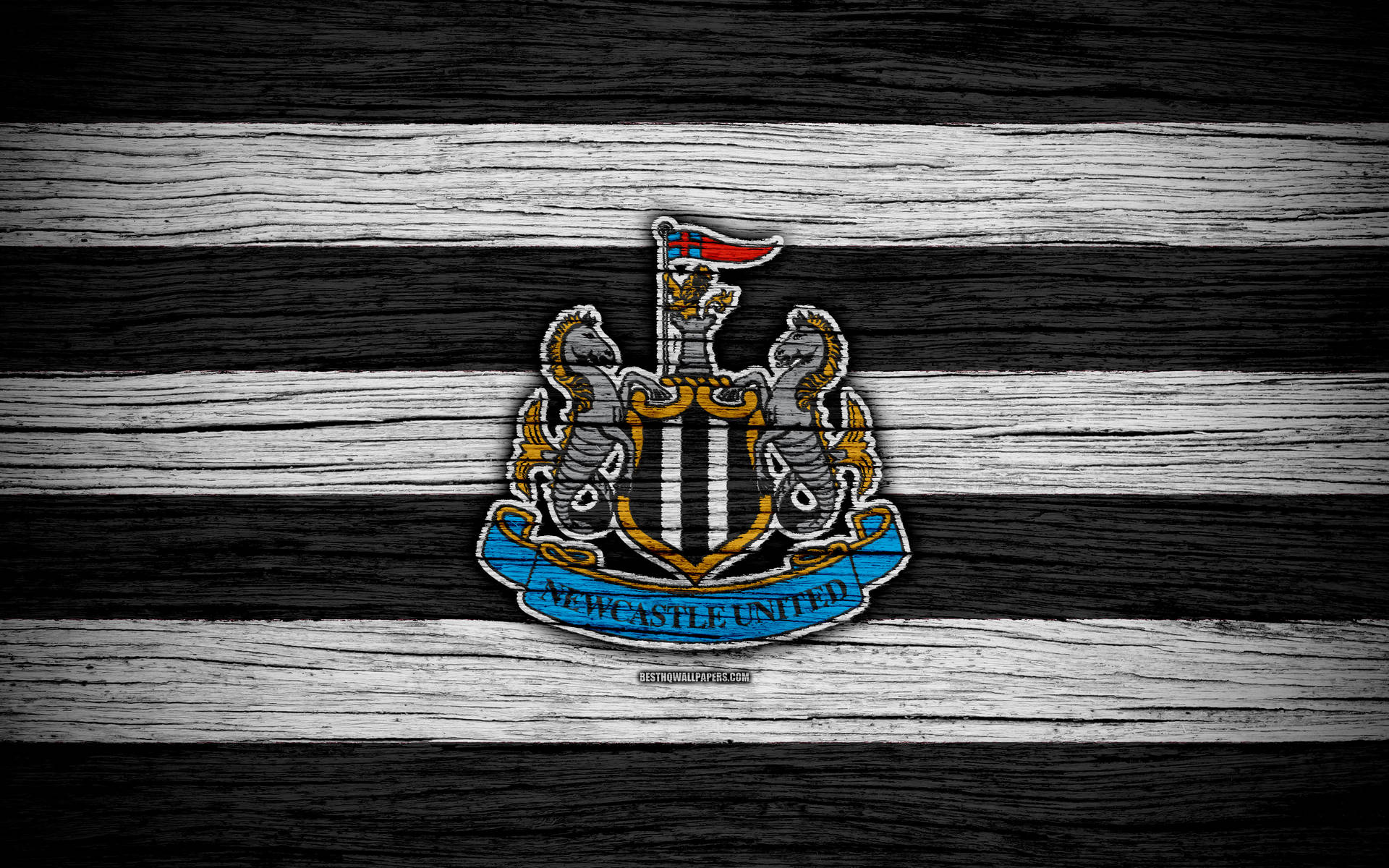 Newcastle United Fc Logo On Wood Wallpaper