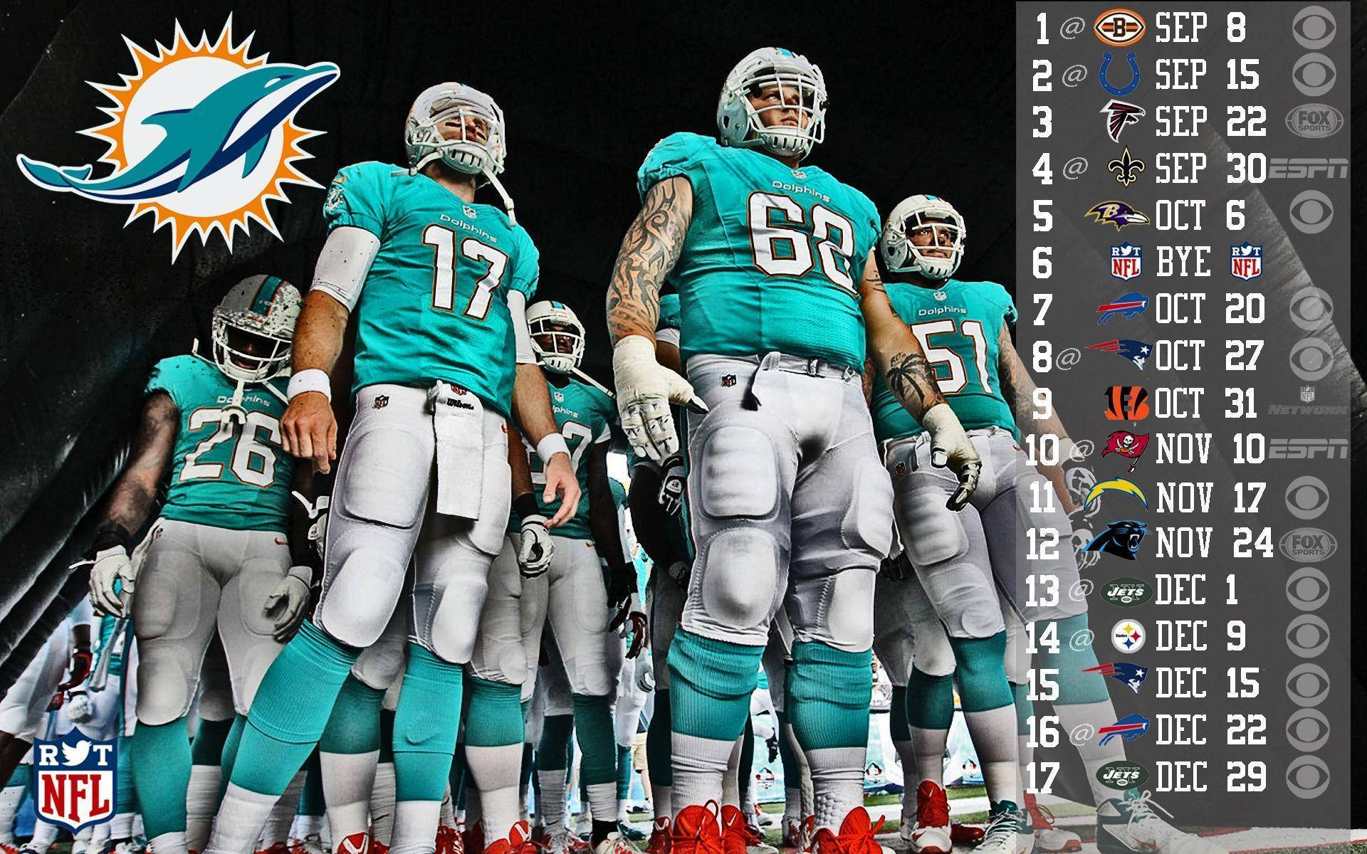 nfl-miami-dolphins-players-with-ryan-tannehill-saddvk8f9zg1jhaq.jpg