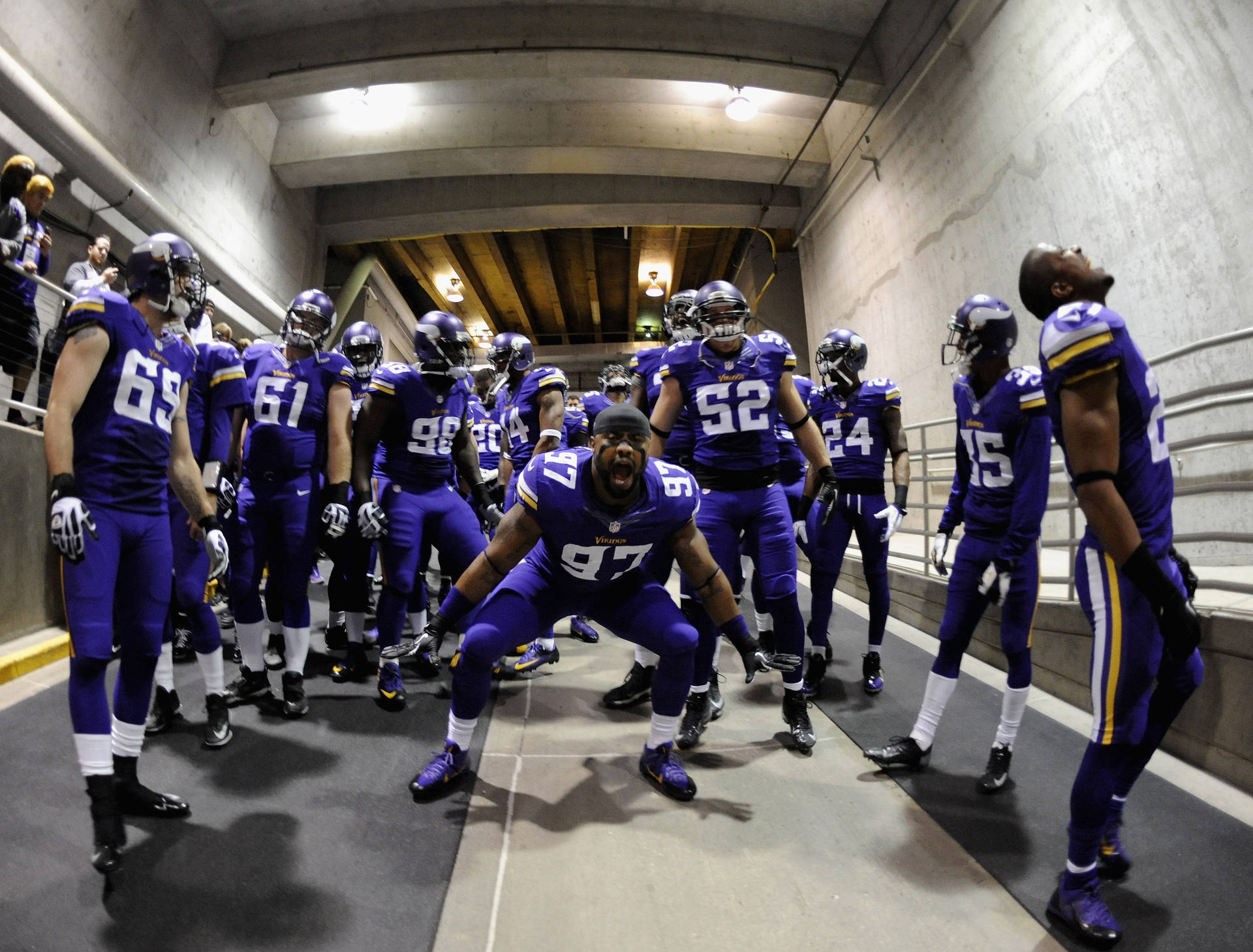 Nfl Minnesota Vikings Team Hd Wallpaper | WallpapersOK