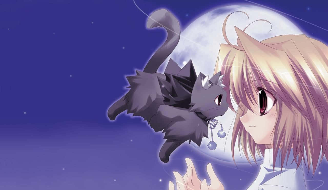 Nice Anime Girl Flying Cat Wallpaper