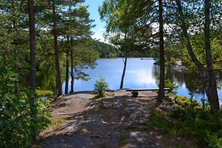 Nordic Forest With Lake Wallpaper