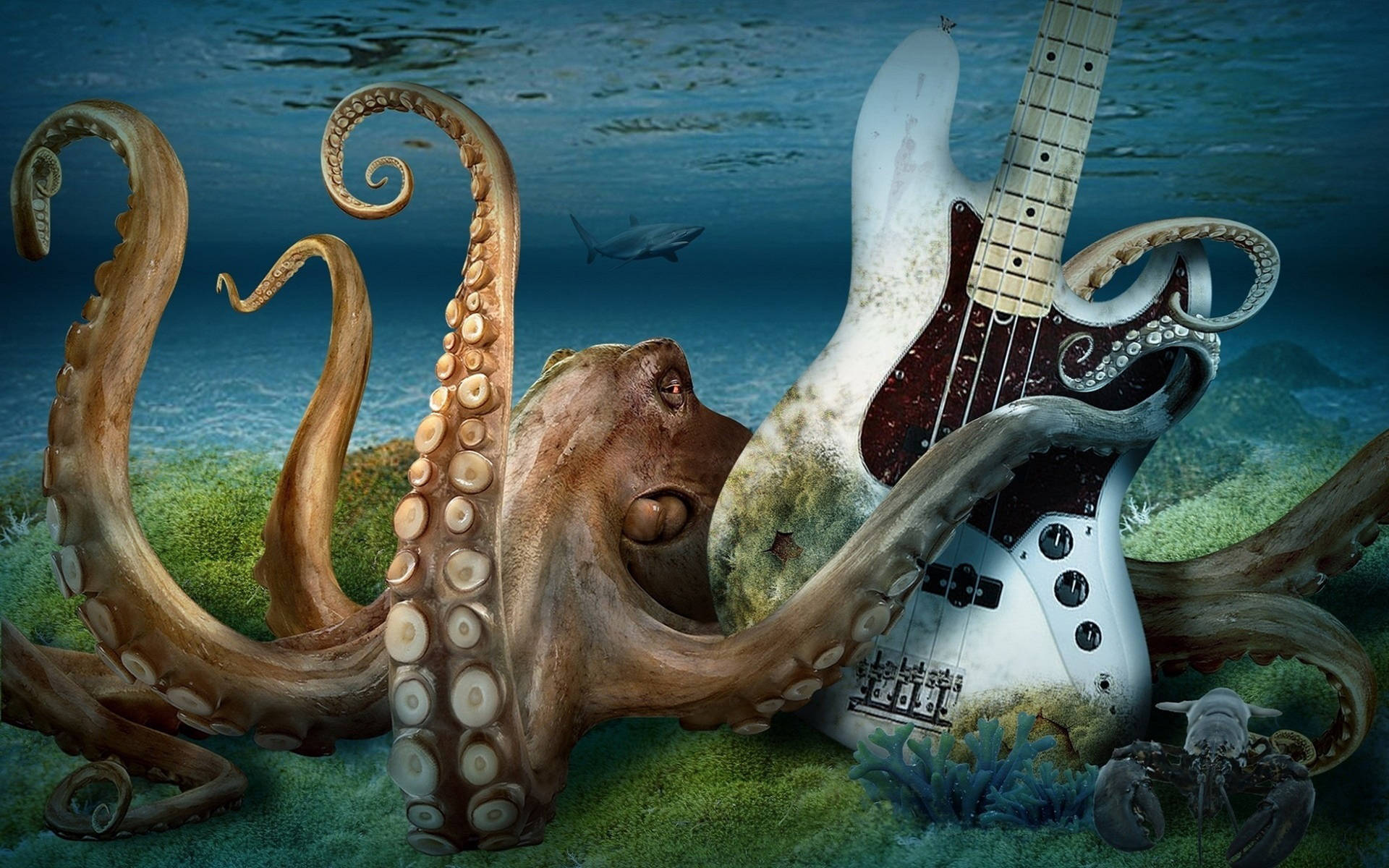 Octopus With Electric Guitar Wallpaper