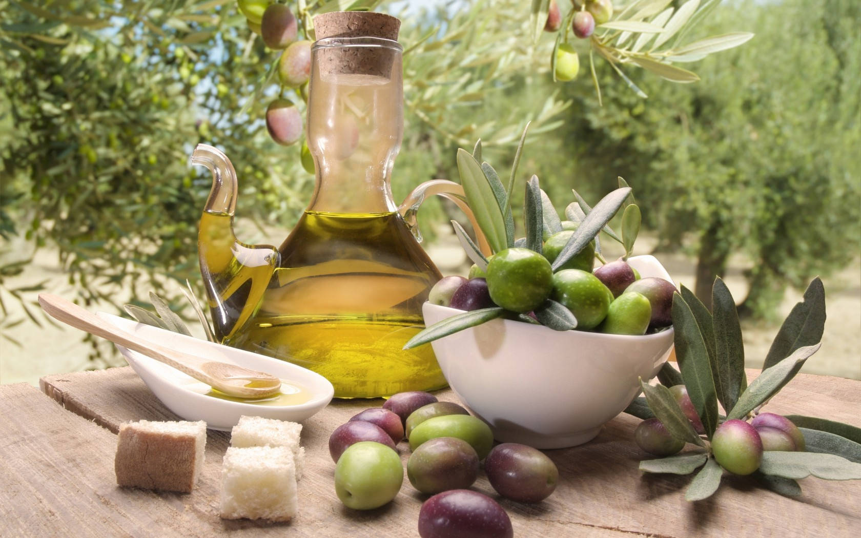 Olive Oil Festival Italy Wallpaper