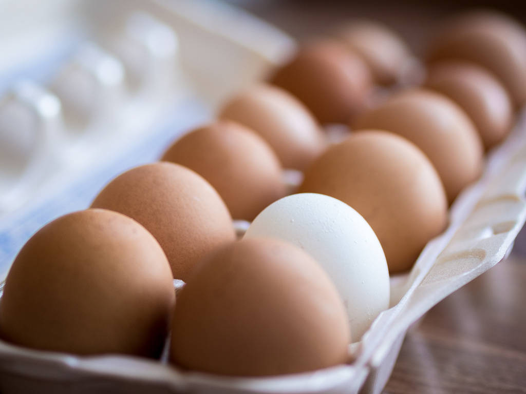 One White Egg Among Brown Eggs Wallpaper