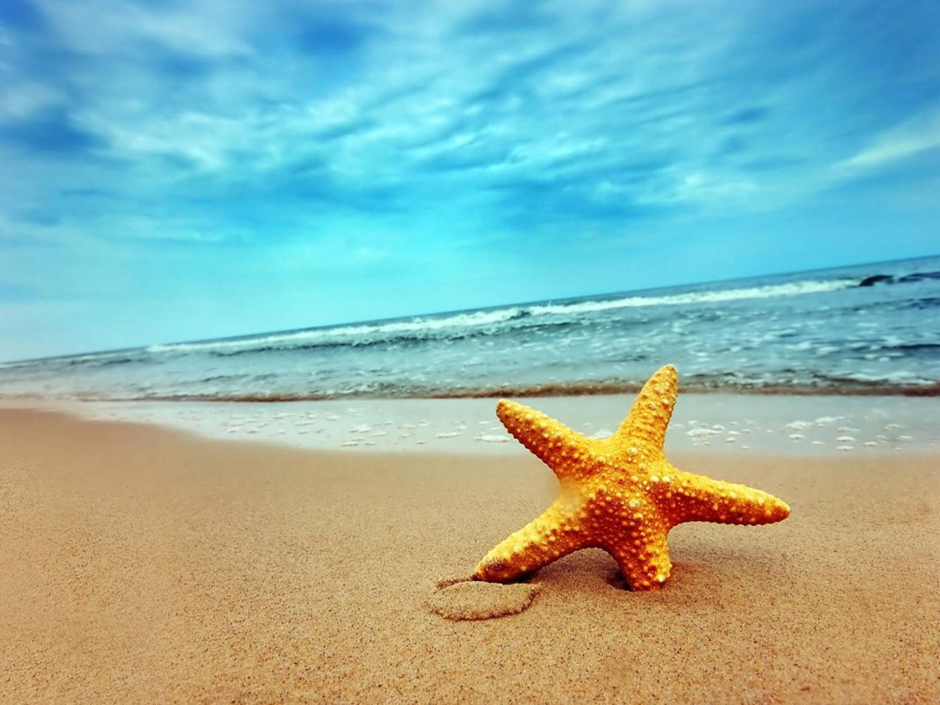 Orange Starfish Beach View Wallpaper