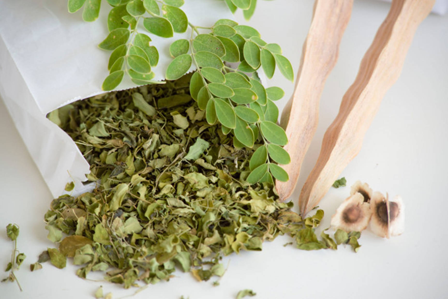 Organic Moringa - The Miracle Plant Wallpaper