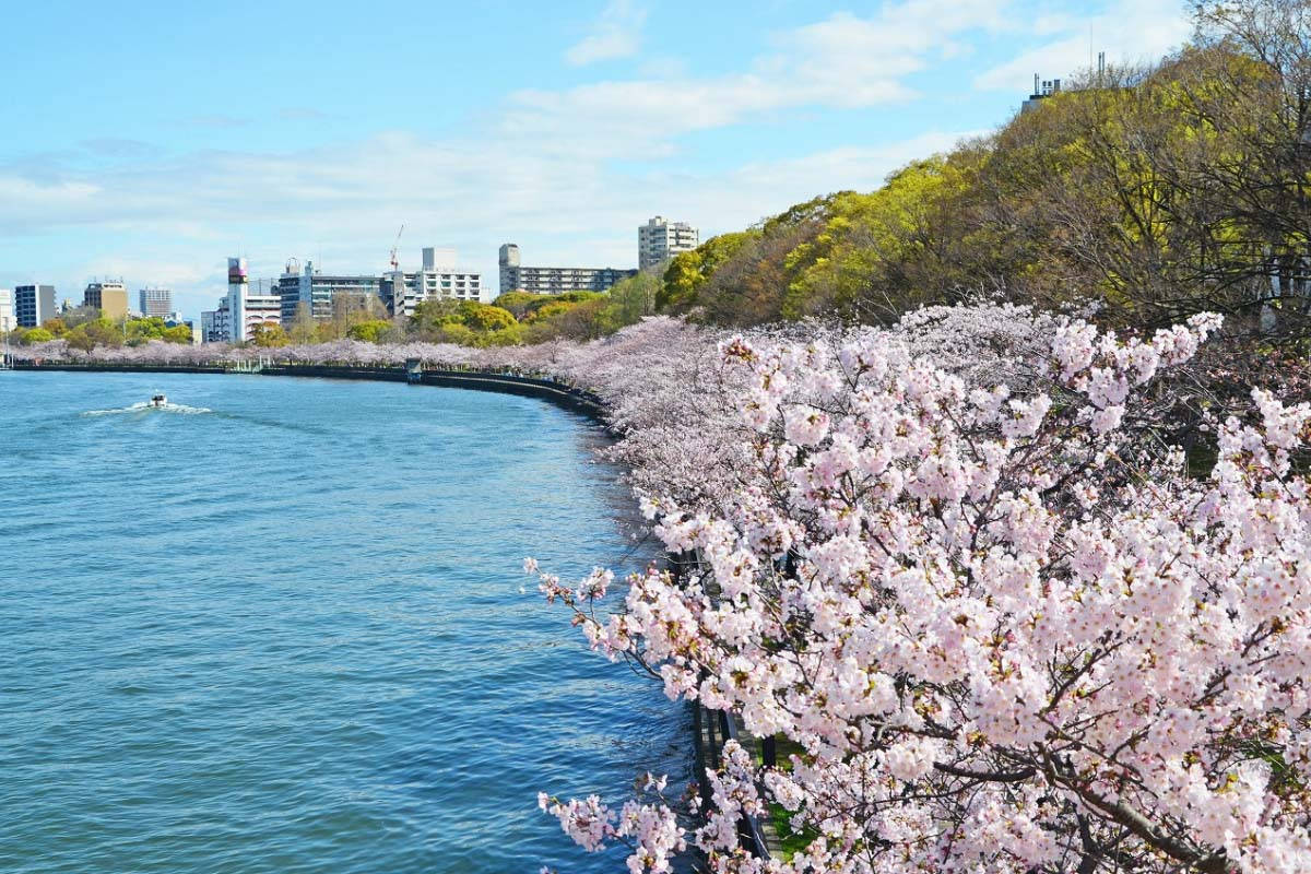 Osaka Kema Sakuranomiya Park Wallpaper