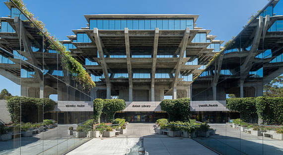 Overflowing Grass Ucsd Geisel Wallpaper