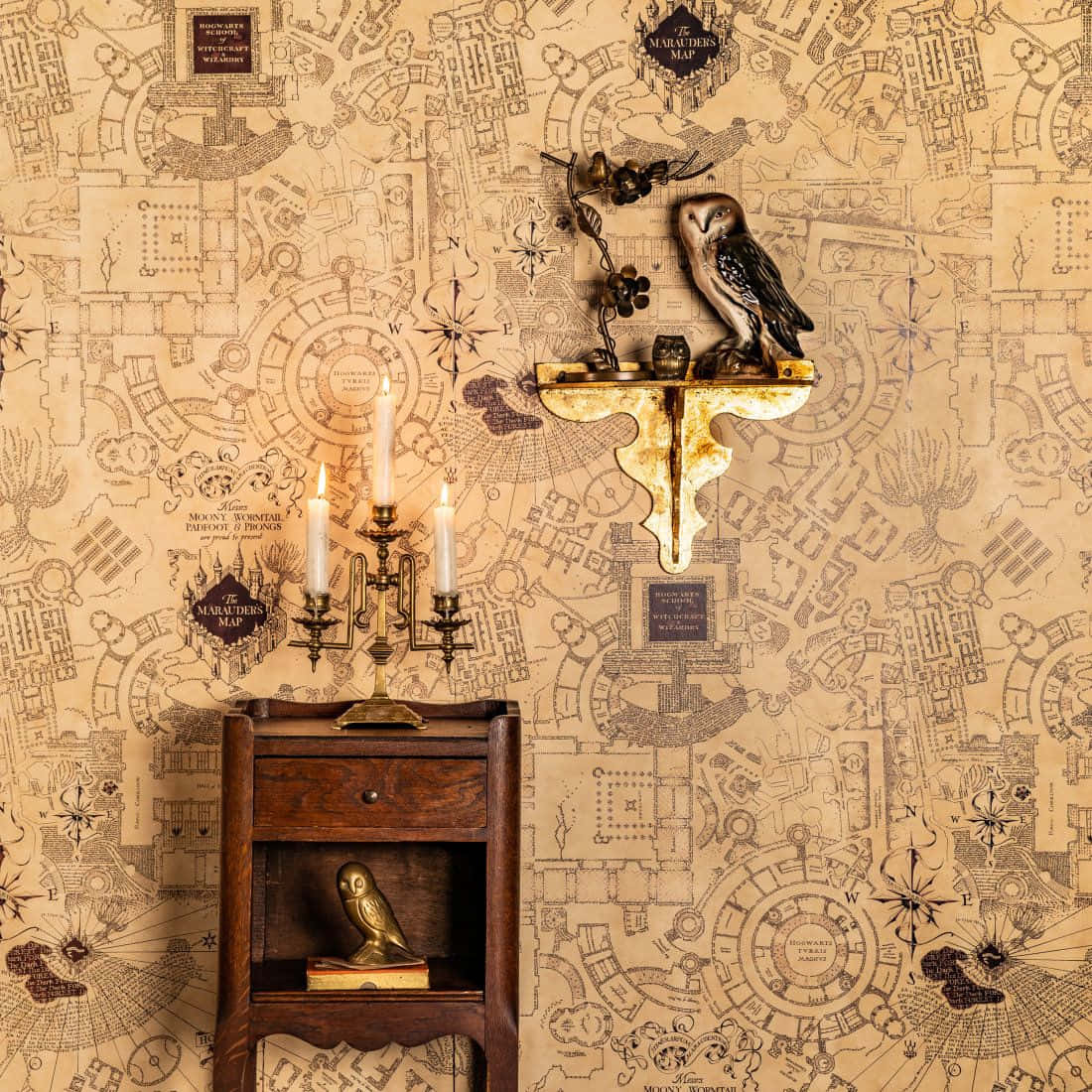 Owl Vintage Design Still Life Wallpaper