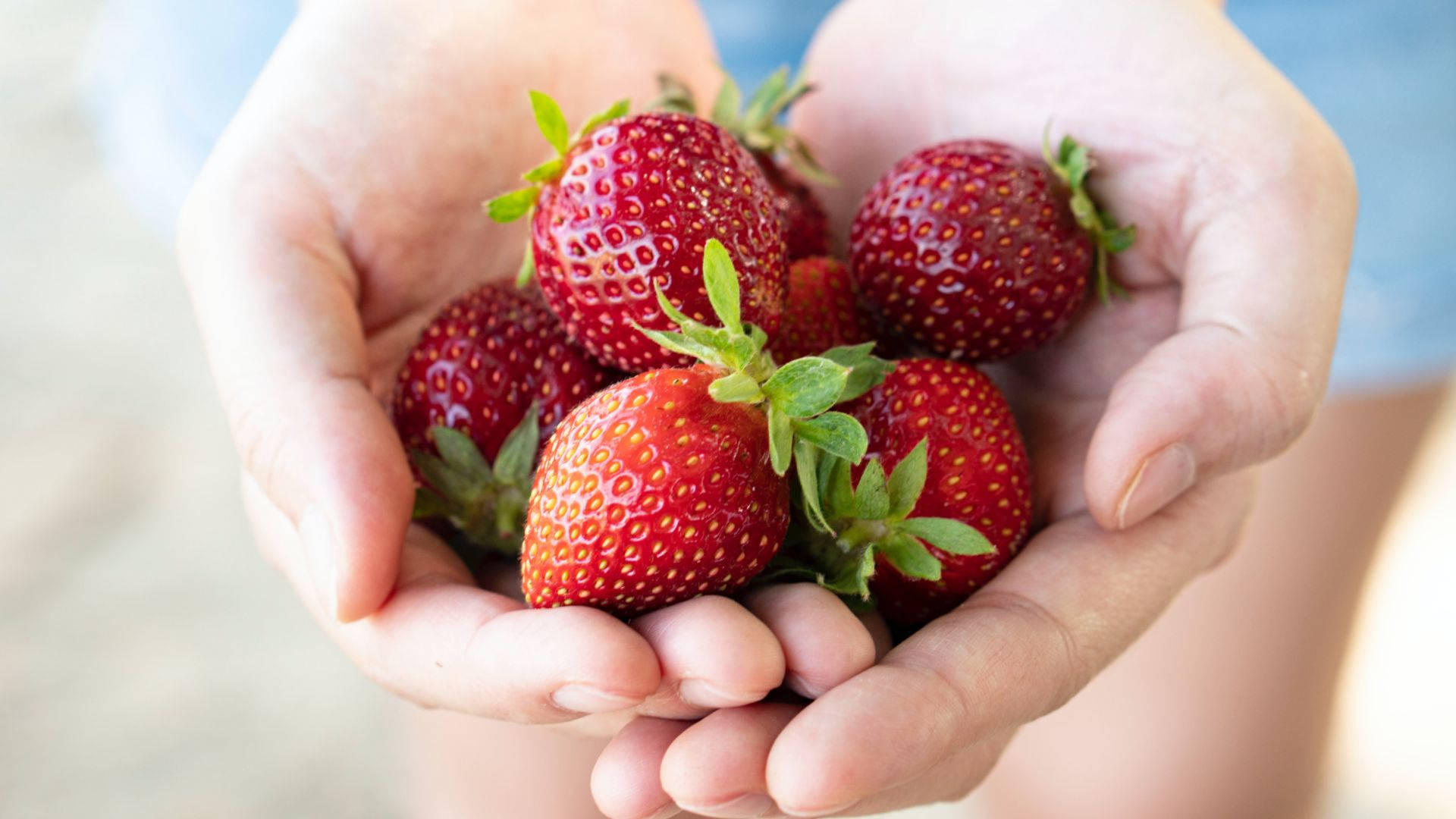 Palm Holding Strawberry Desktop Wallpaper