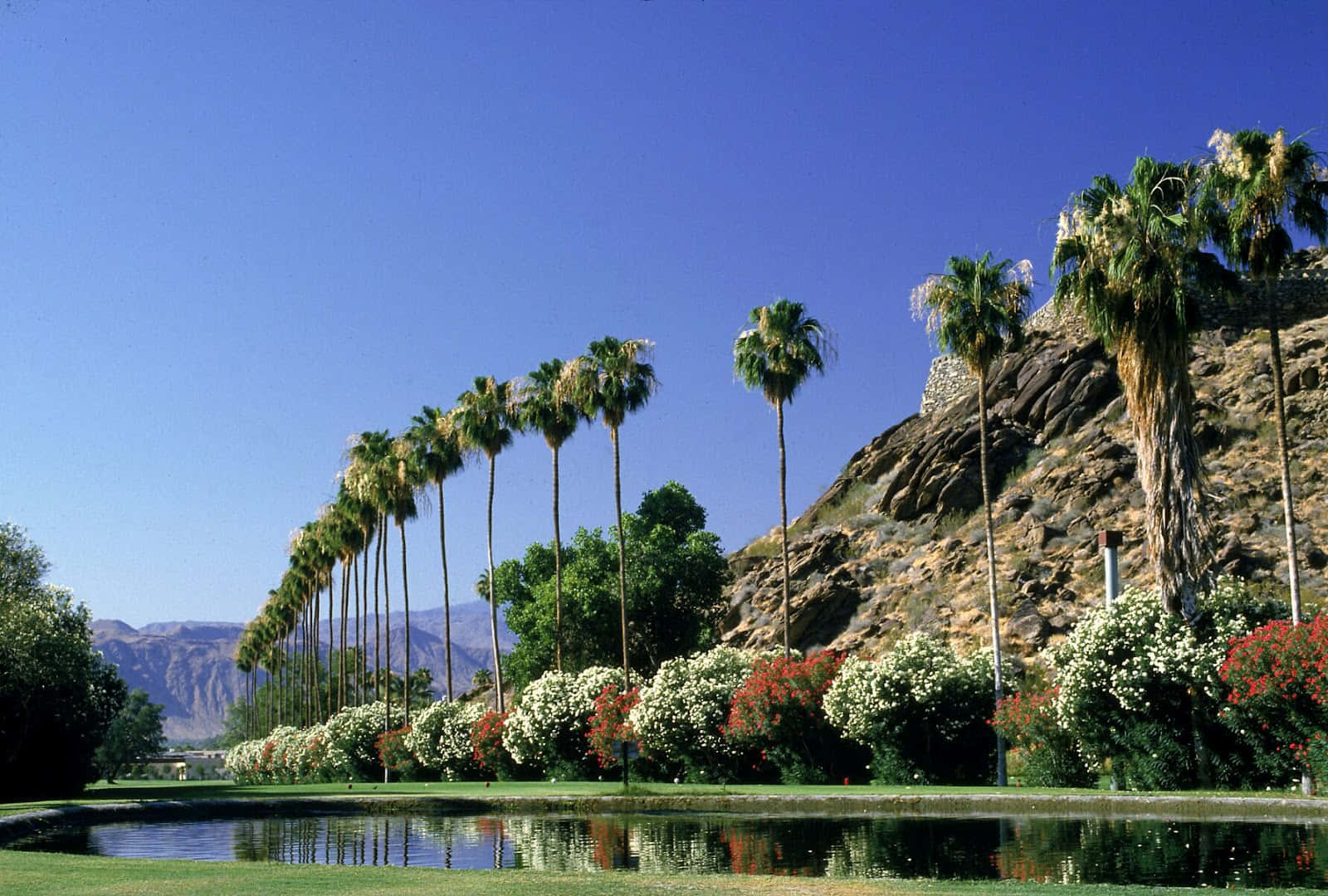 Palm Springs O'donnell Golf Club Wallpaper