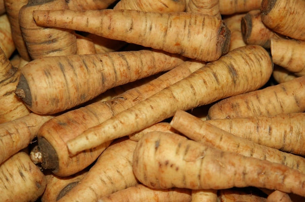 Parsnip Root Crop Vegetables Extreme Close Up Wallpaper