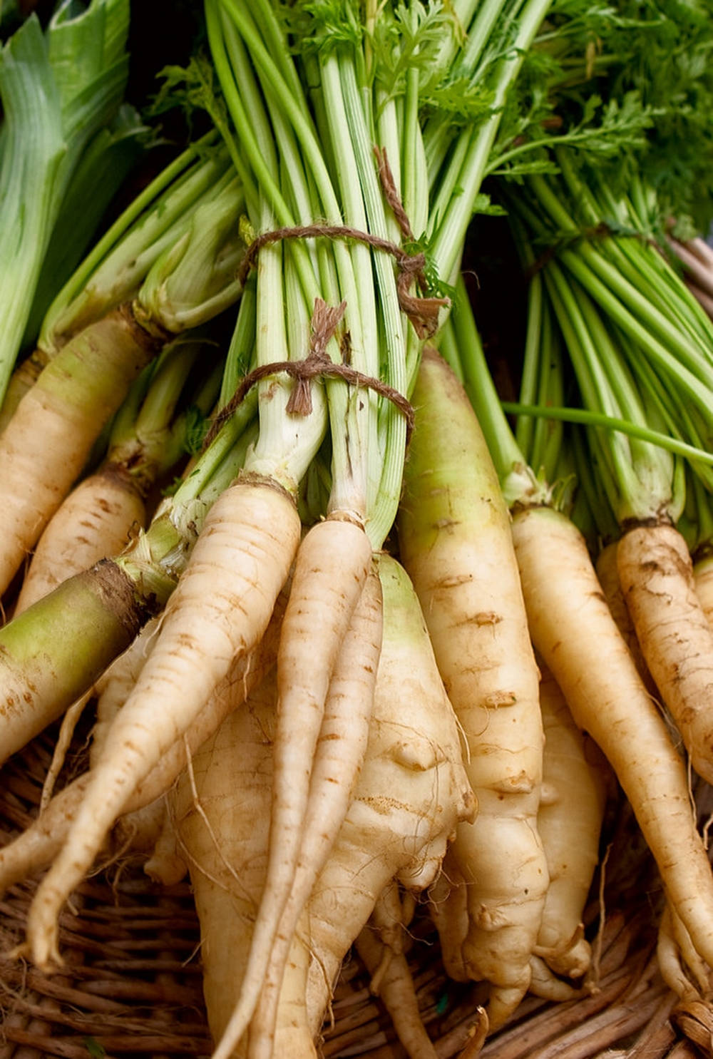 Parsnip Vegetable Root Crops Bundles Wallpaper