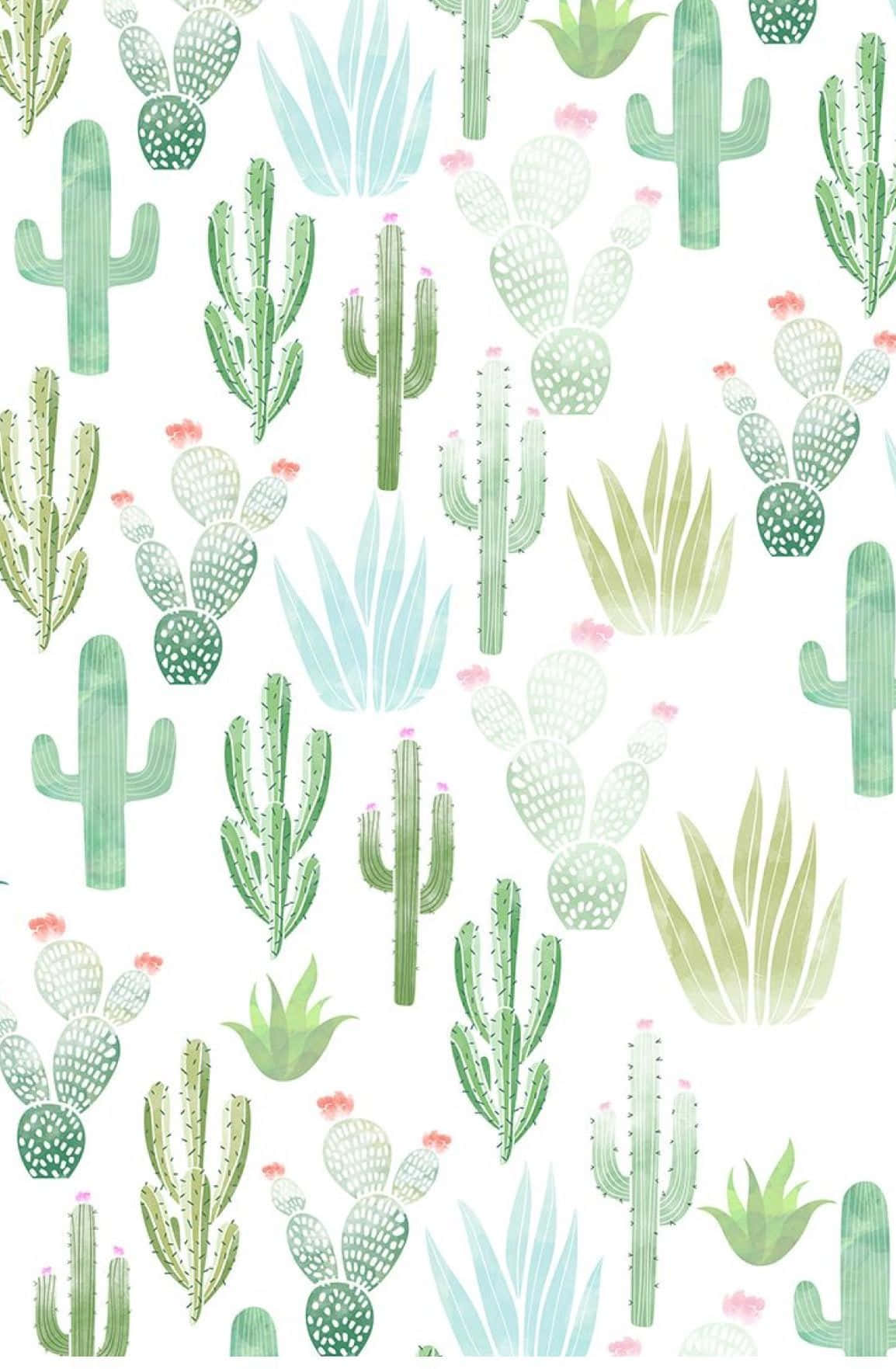 Pastel Blue Green Cute Cactus Wallpaper