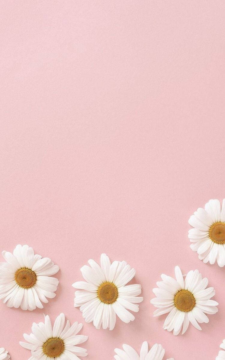 Pastel Iphone Pink Flowers Wallpaper