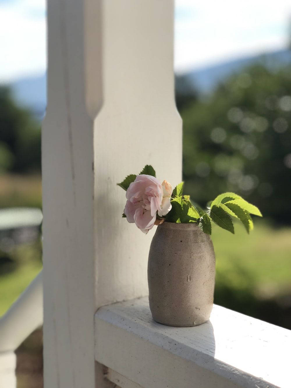 Pastel Pink Camellia In Flower Vase Wallpaper