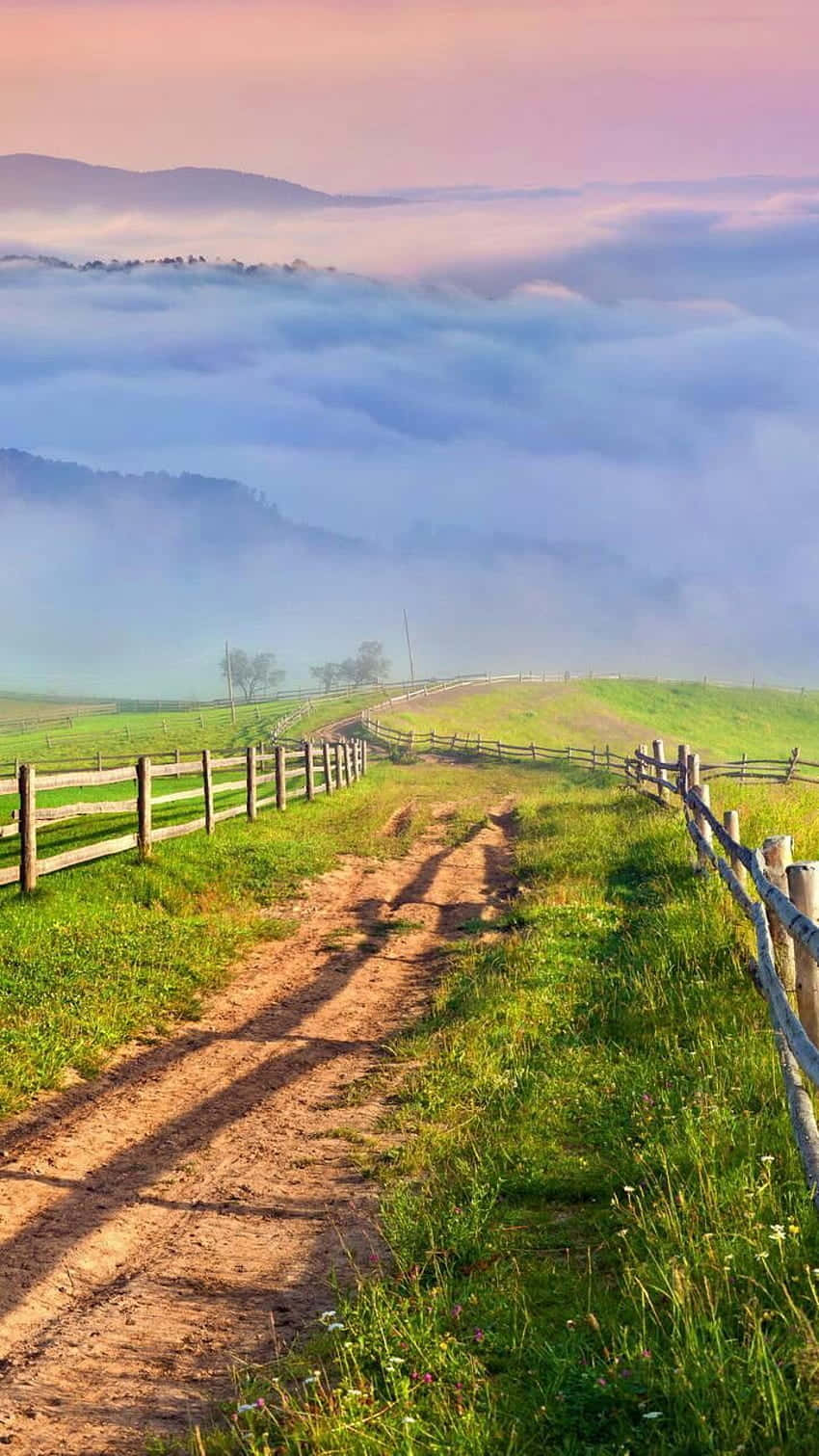 Pathway To Foggy Mountain Cute Country Wallpaper