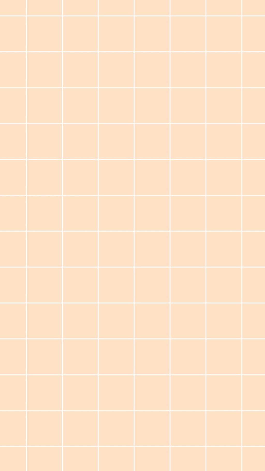 Peach Aesthetic Grid Wallpaper