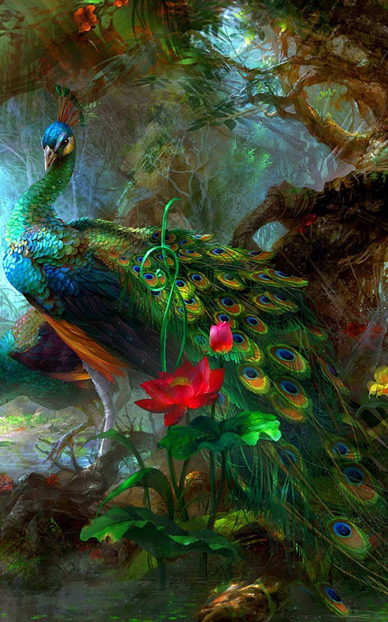 Peacock Painting - Exotic Bird Wallpaper