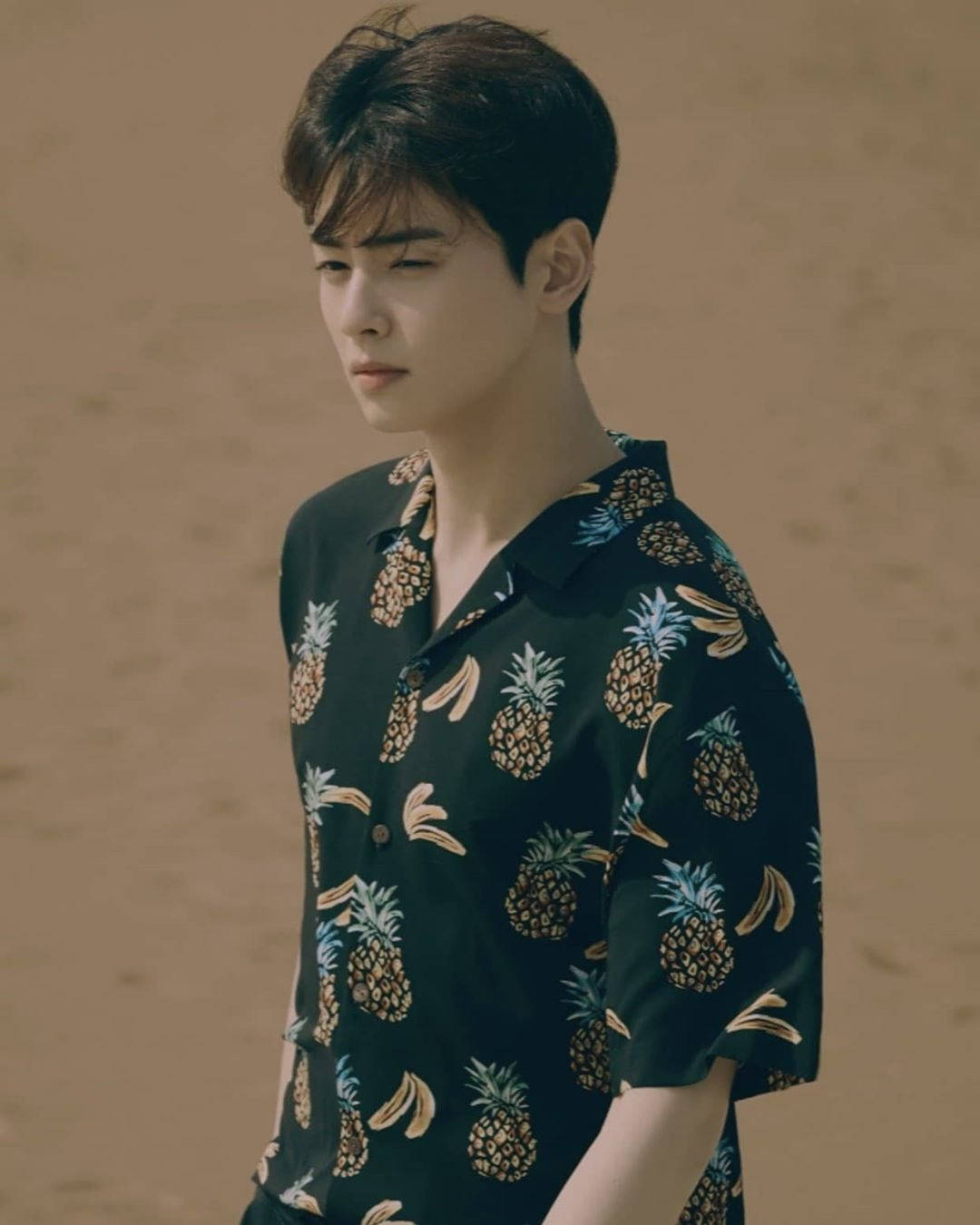 Pineapple Shirt Cha Eunwoo Wallpaper