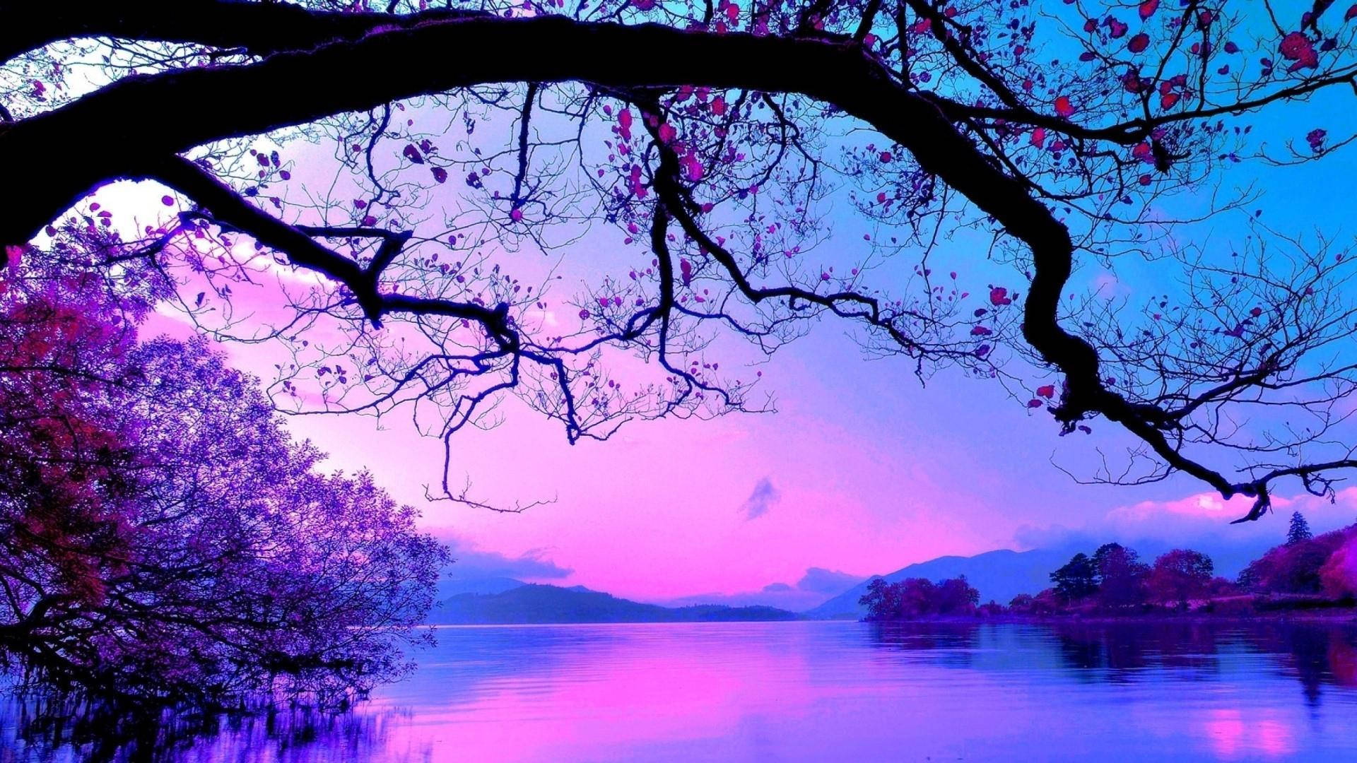 Pink Blue Landscape Wallpaper