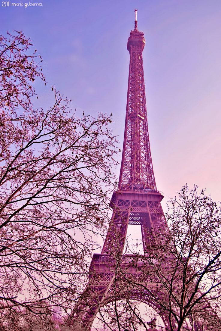 Pink Eiffel Tower Trees Wallpaper