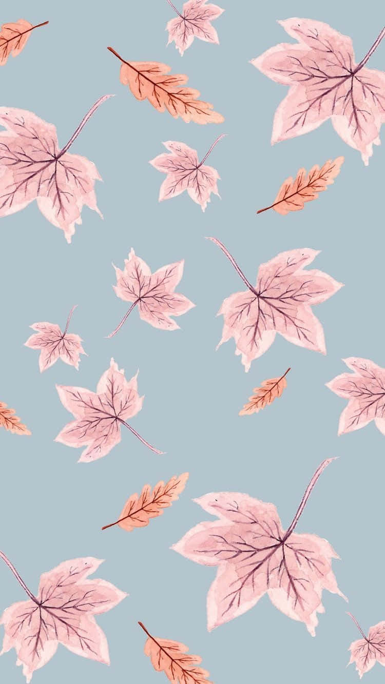 Pink Fall Wallpaper Leaves Wallpaper