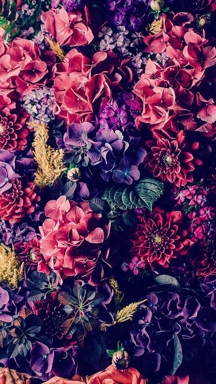 Pinterest Vibrant Flowers Wallpaper