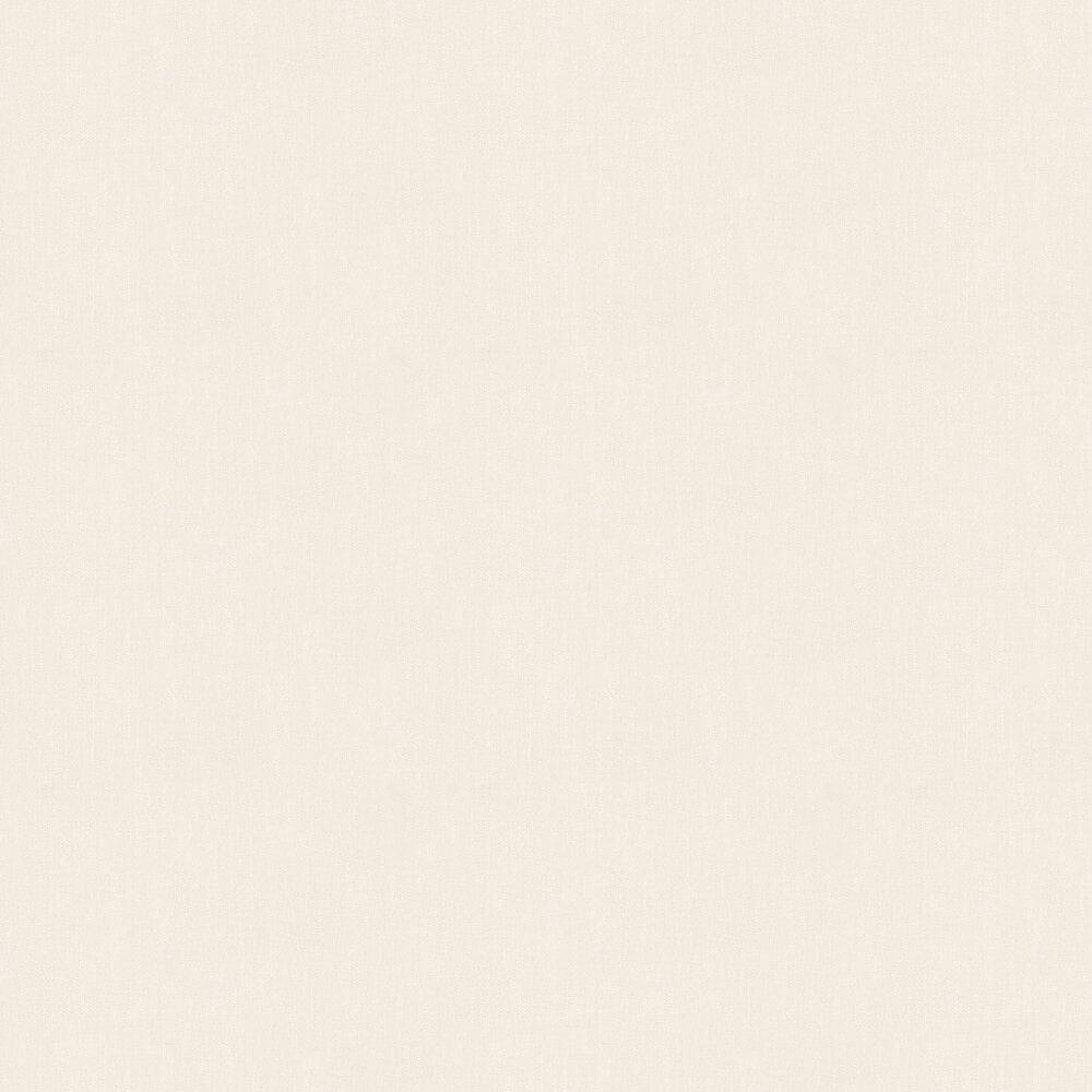 Plain Beige 1000 X 1000 Wallpaper