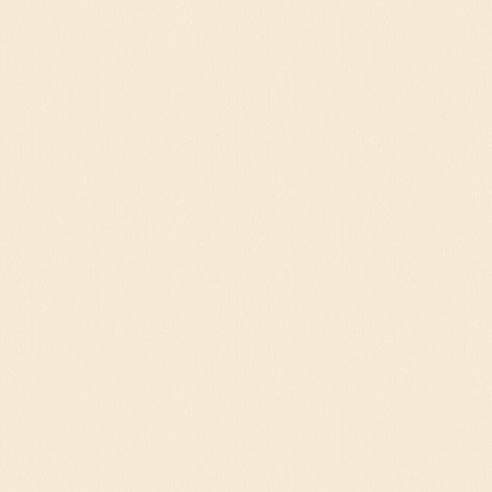 Plain Beige 1000 X 1000 Wallpaper