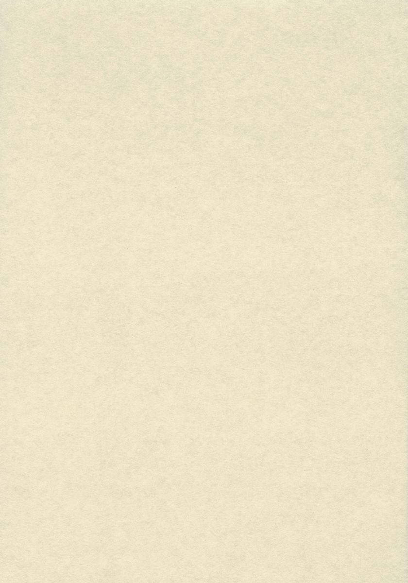 Plain Beige 840 X 1200 Wallpaper