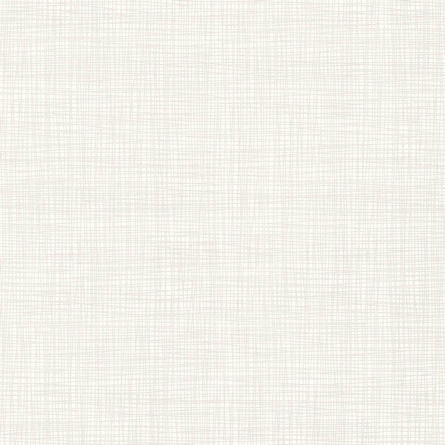 Plain Beige 900 X 900 Wallpaper