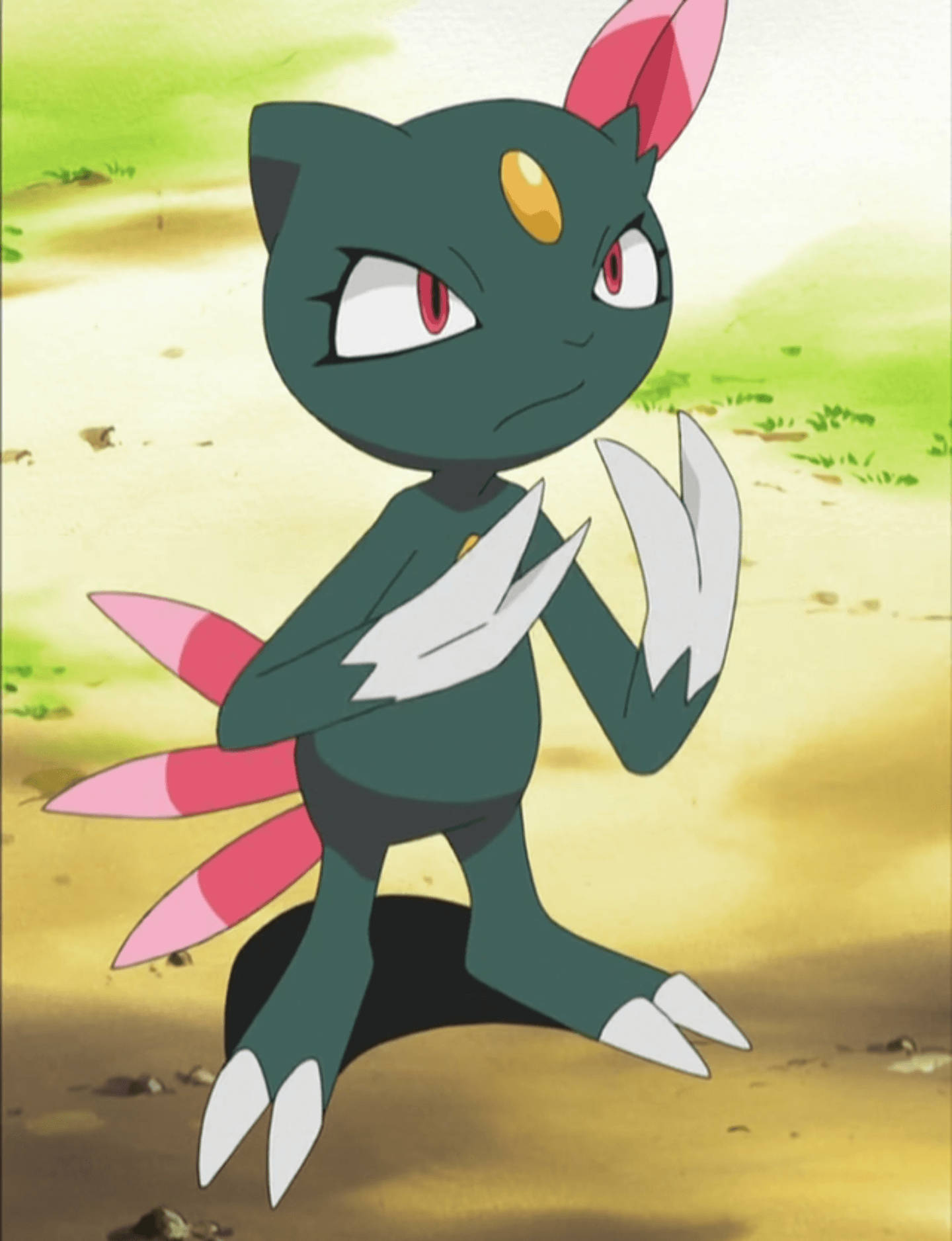 Pokemon Anime Sneasel Wallpaper