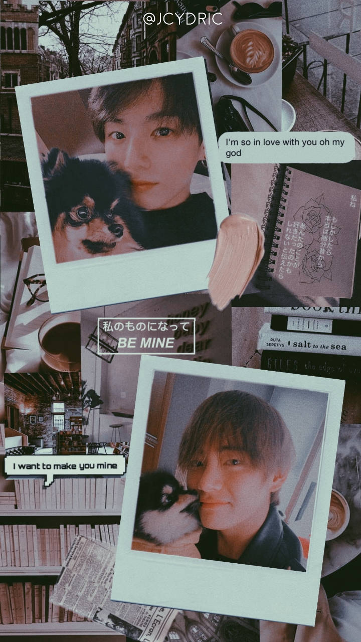 Polaroid Pets Taekook Bts Wallpaper